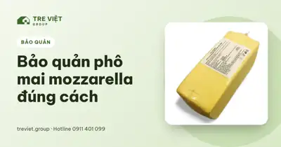 Bảo quản phô mai mozzarella – khối phô mai Mozzarella Vilvi 2,5kg đông lạnh